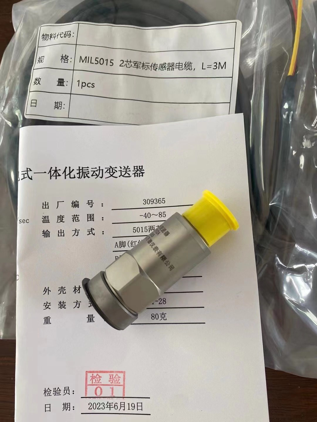 磁吸式振動(dòng)傳感器