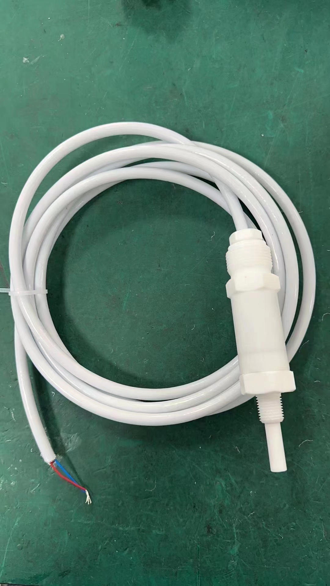 全四氟防腐溫度傳感器實(shí)物圖